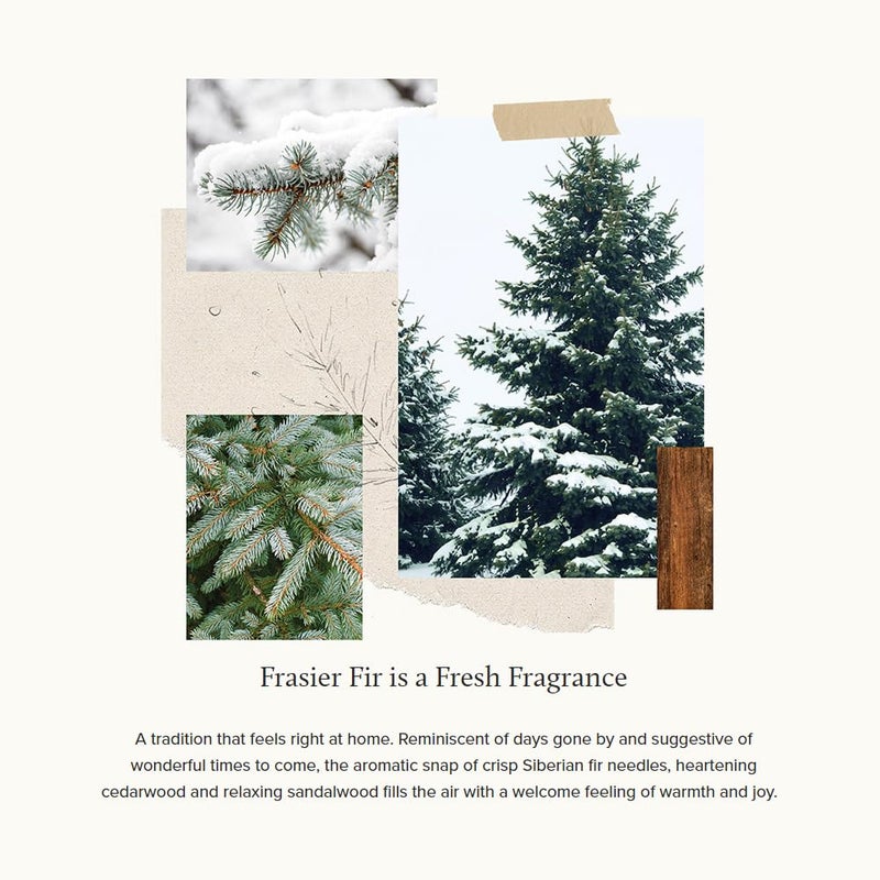 Thymes Frasier Fir Candle - Gilded Collection - Wood Grain Ceramic Design with 24-Karate Gold Rim - Mountain Fresh Fragrance - Elegant Winter Candle Scents - Gifts for Women & Men (Medium, 11 oz) - Image 3